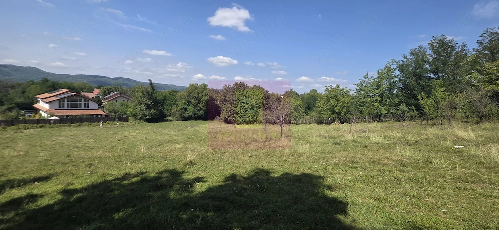 Teren intravilan de vanzare 2500 mp in Banesti