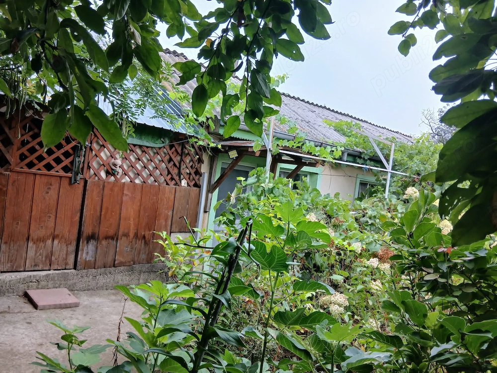 Casa de vanzare in Buda judetul Buzau (teren 1050 mp) 