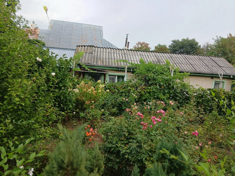 Casa de vanzare in Buda judetul Buzau (teren 1050 mp) 