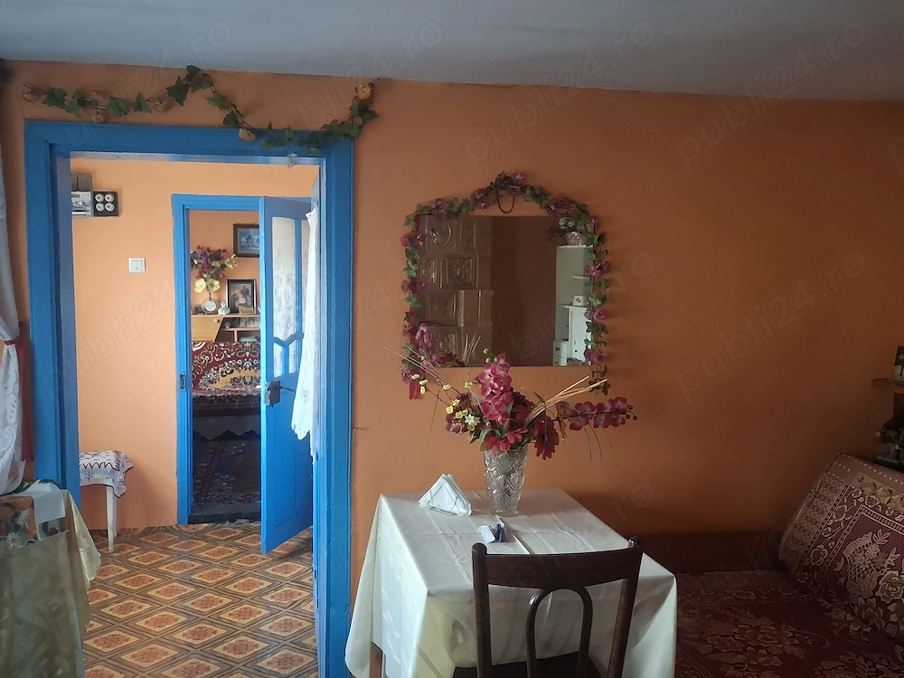 Casa de vanzare ,electricitate,beci,gradina!