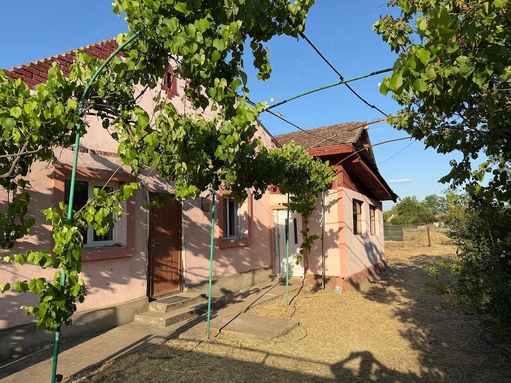 Casa cu gospodarie la Iecea Mare