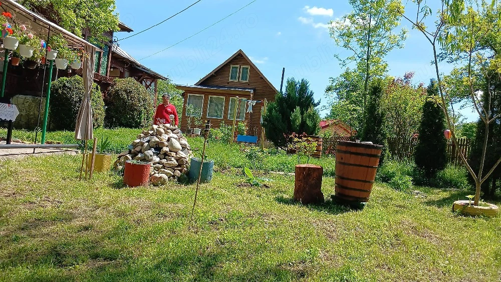 Vand casa in Provita de Jos