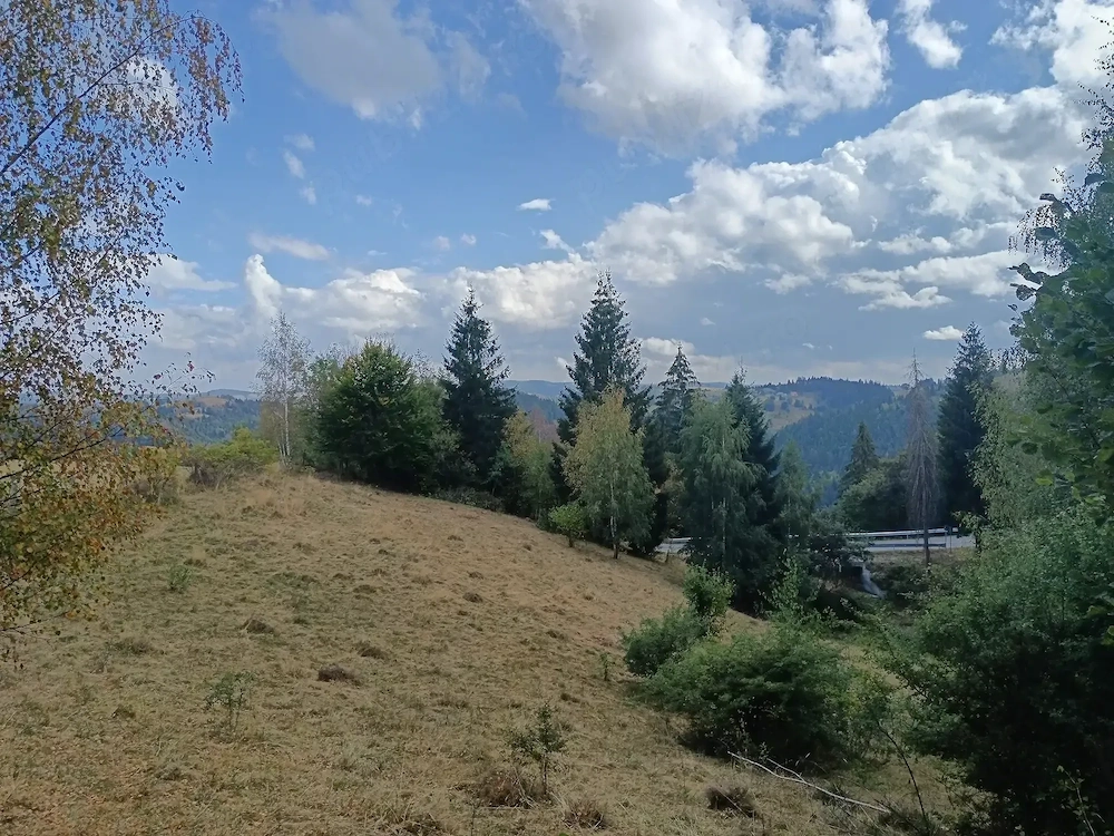 Vând teren cu izvoare la munte