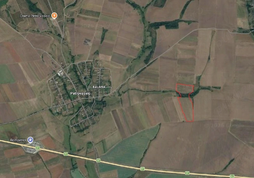 Teren 11 ha   Petrovaselo (Recaș, Timiș), zonă viticolă Recaș, ideal vie + agroturism