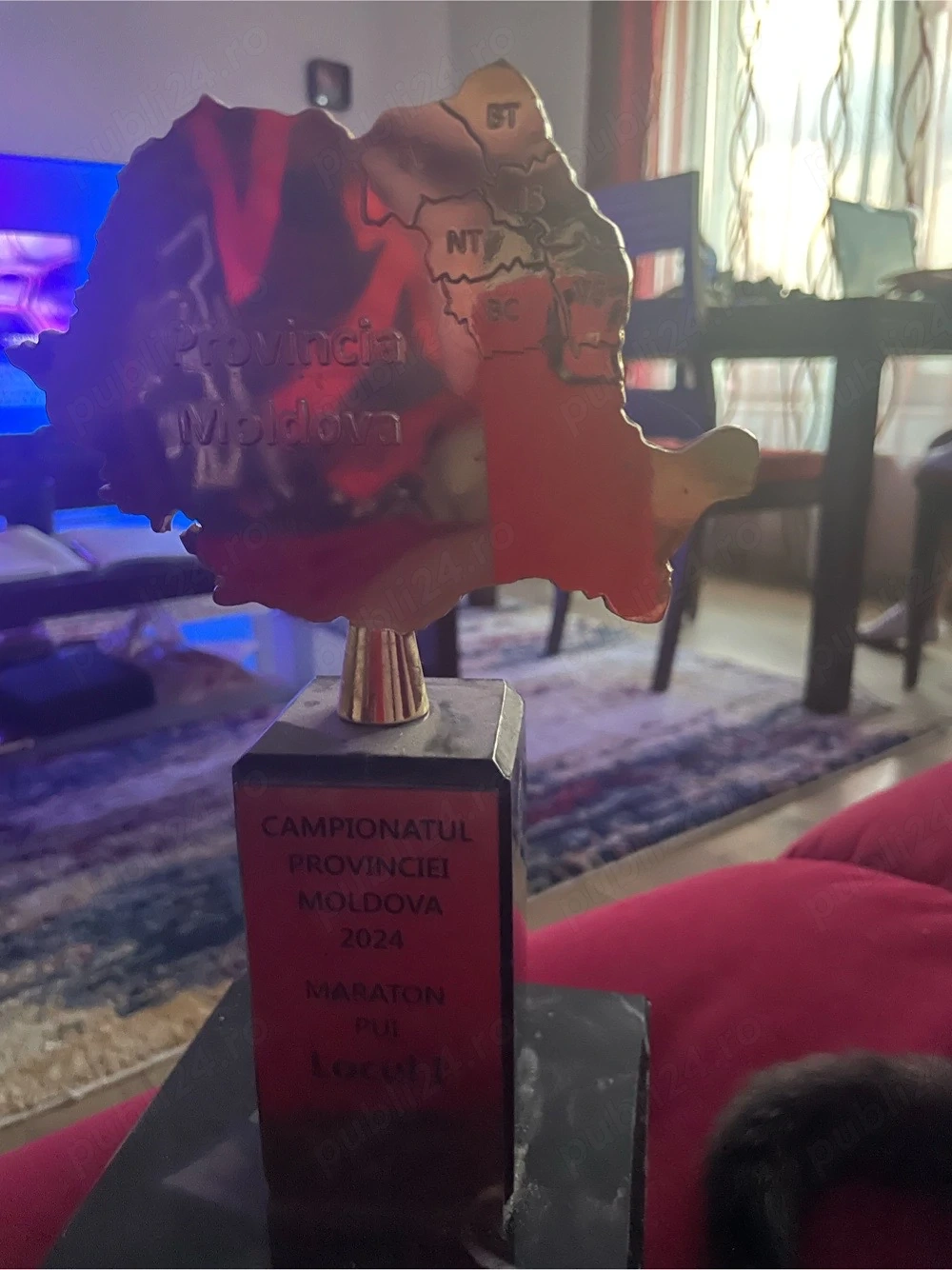 vand porumbei din campioni cu pedigree