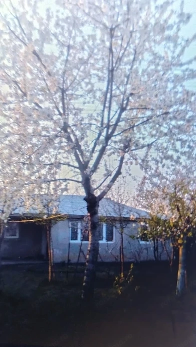 Vând casa în localitatea Valea Ramnicului 