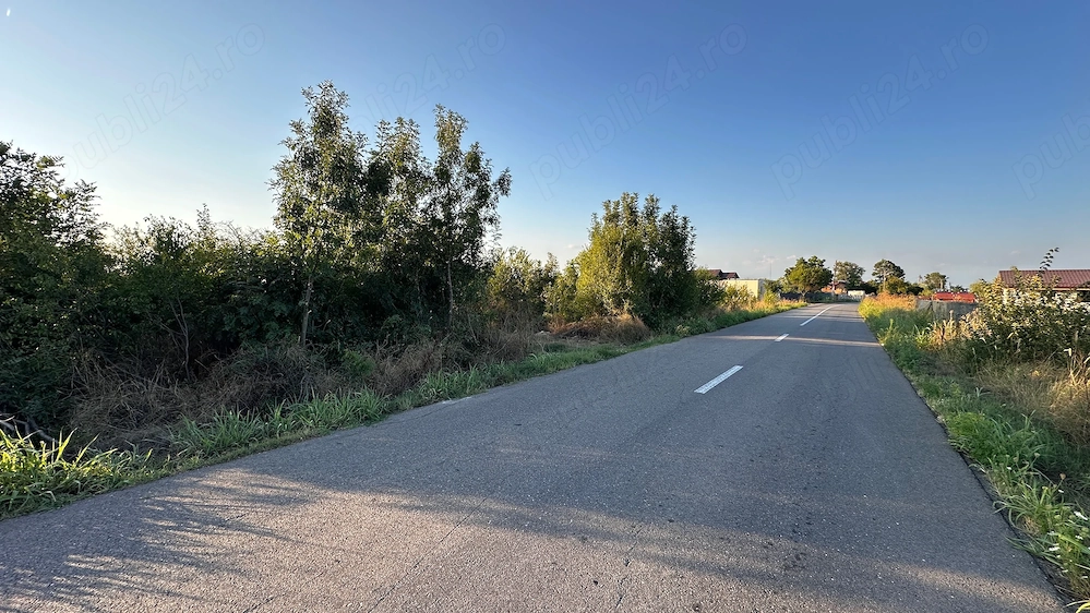Vânzare teren Dâmbovița   6700 mp intravilan, deschidere 33 m, la 900 m de Autostrada A1