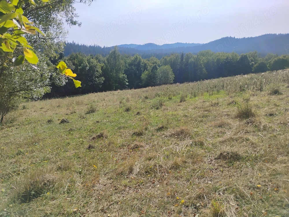 Teren de vânzare 10 800 metrii pătrați.