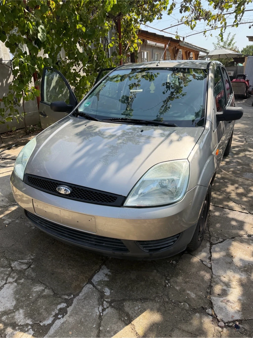 Vand Ford Fiesta