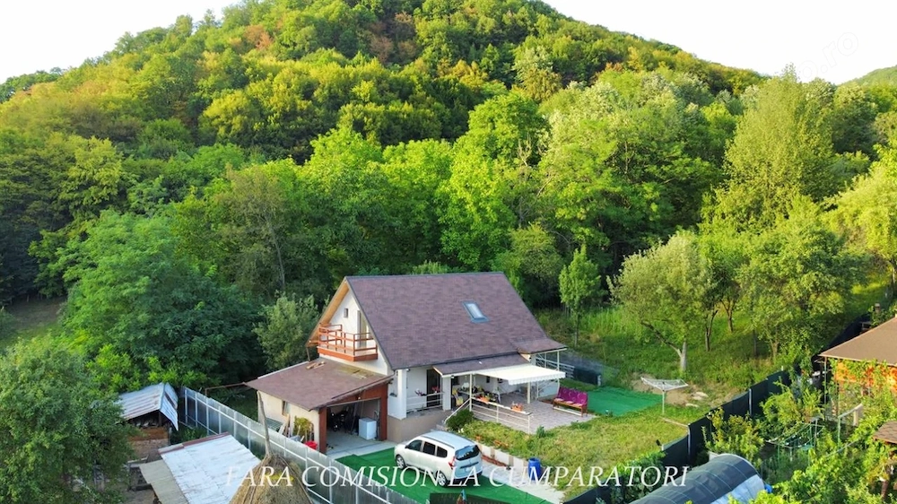 OLANESTI CASA NOUA TEREN 1389 MP