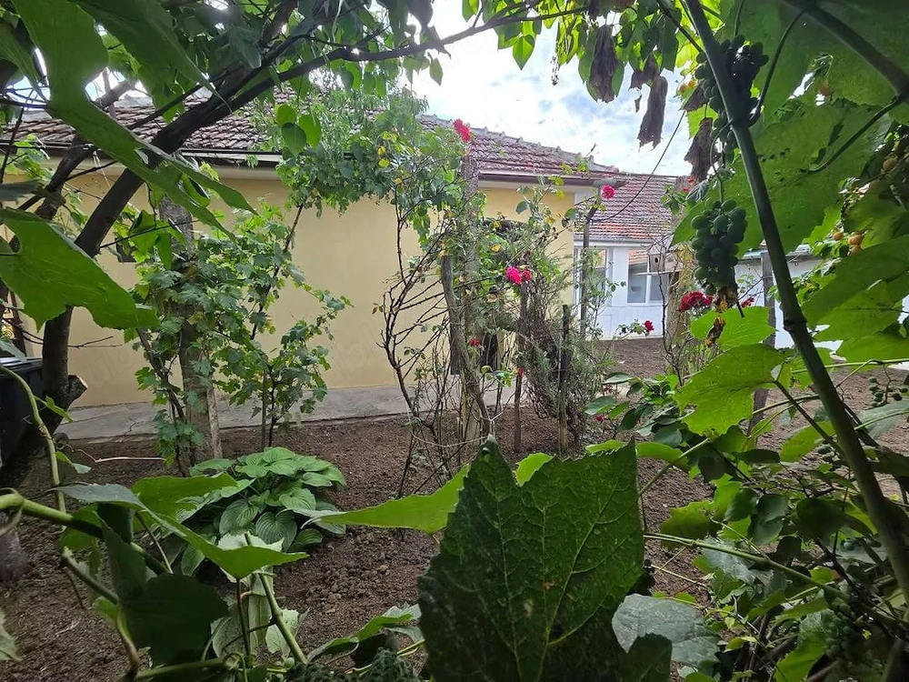 Inchiriez Casa Mosnita Noua 