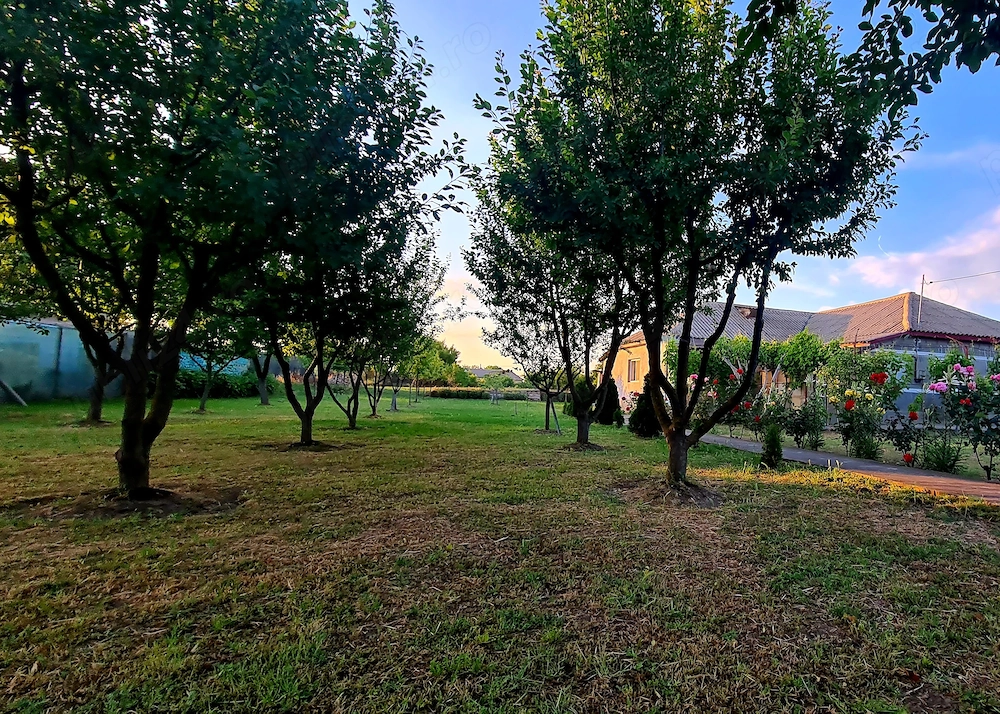Teren intravilan 1.200+ mp | Livadă & Acces privat 7m | Sălcioara - Jurilovca