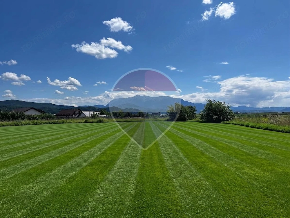 Oază de liniște și panoramă spectaculoasă: Teren intravilan de 1.200mp