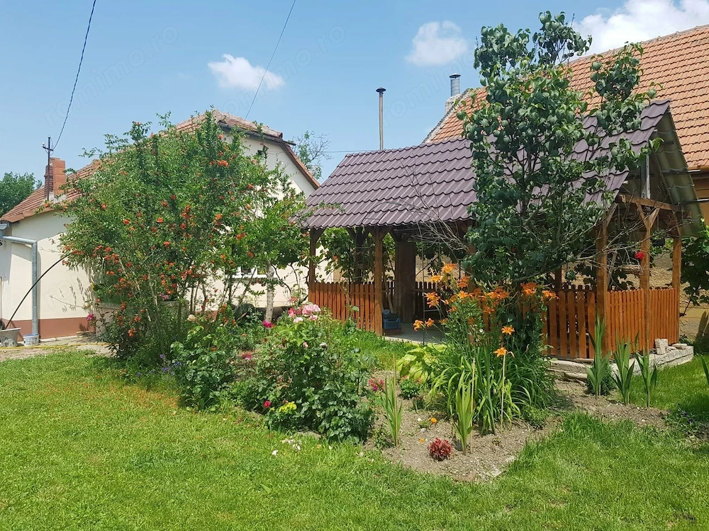 Casă cu 4 camere și teren generos de 2.370 mp – Deta, Strada 1 Mai
