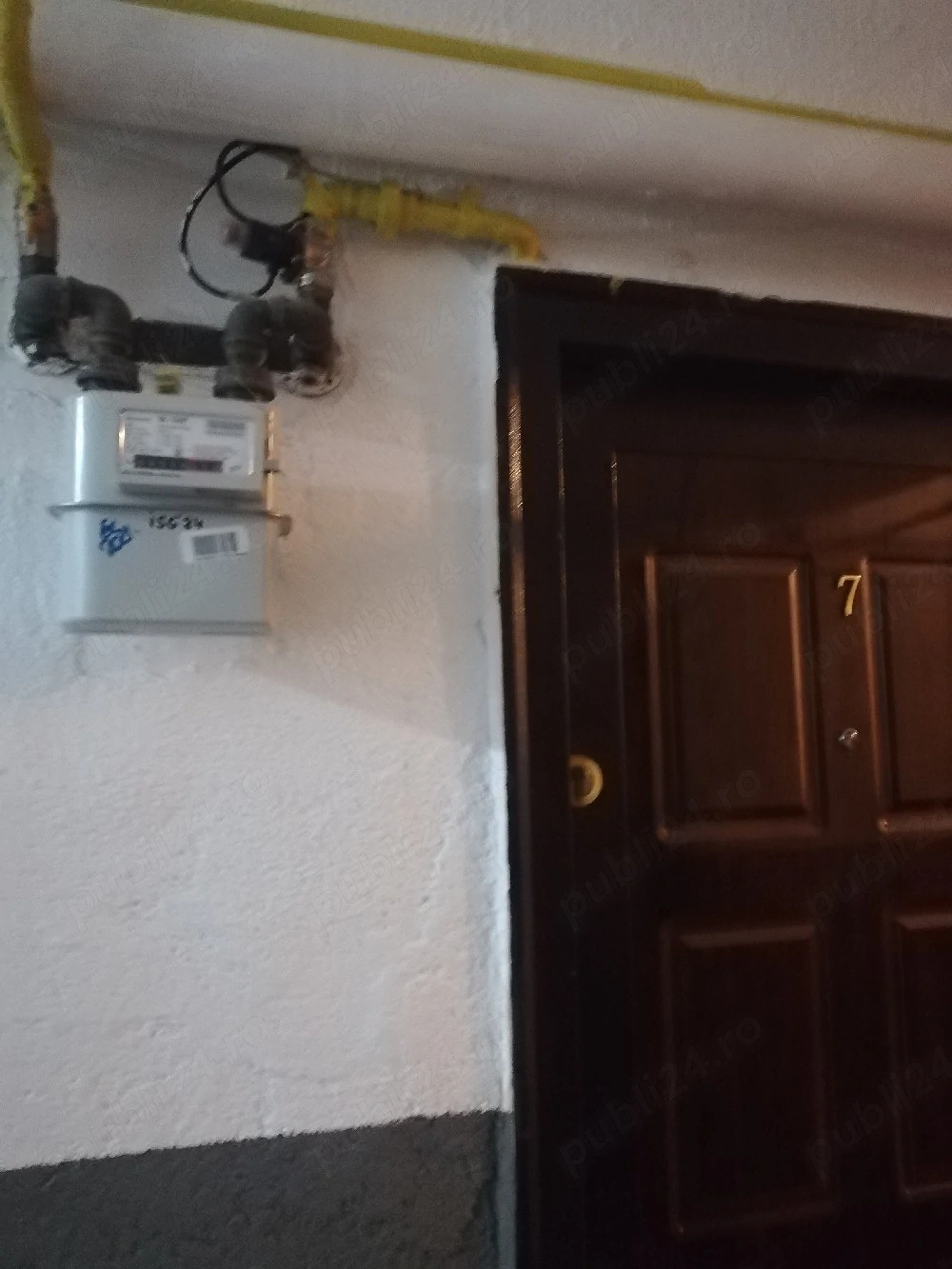 Proprietar,Gars.Cf.2, 24 mp.