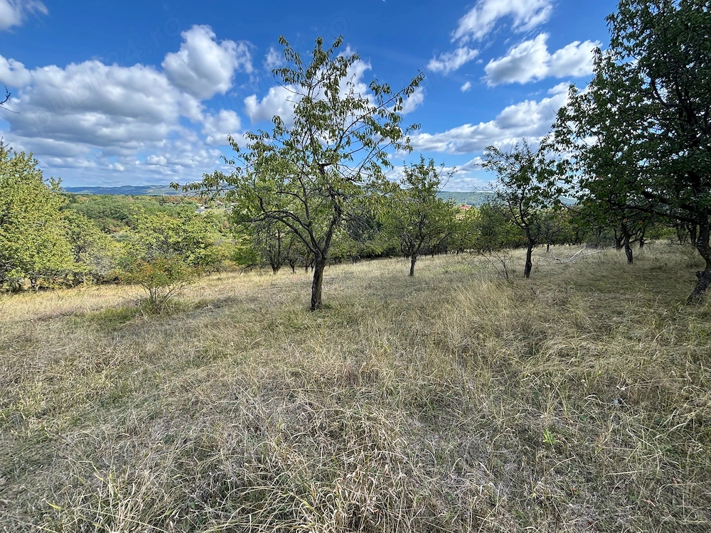 Proprietar - Vând teren 6.107 mp Vălenii de Munte - deschidere 20.8m
