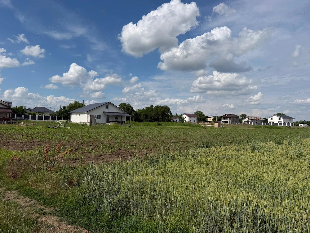 Teren intravilan ed vanzare Floresti-Stoenesti, Giurgiu [ 9.400 MP ]