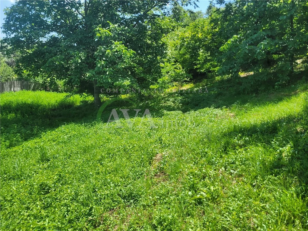 Teren intravilan 960 mp, zona Hemeius