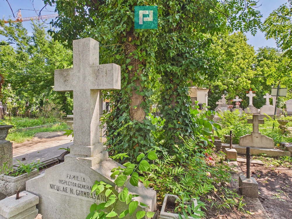 Loc de veci, cimitir Bellu,  Bucuresti