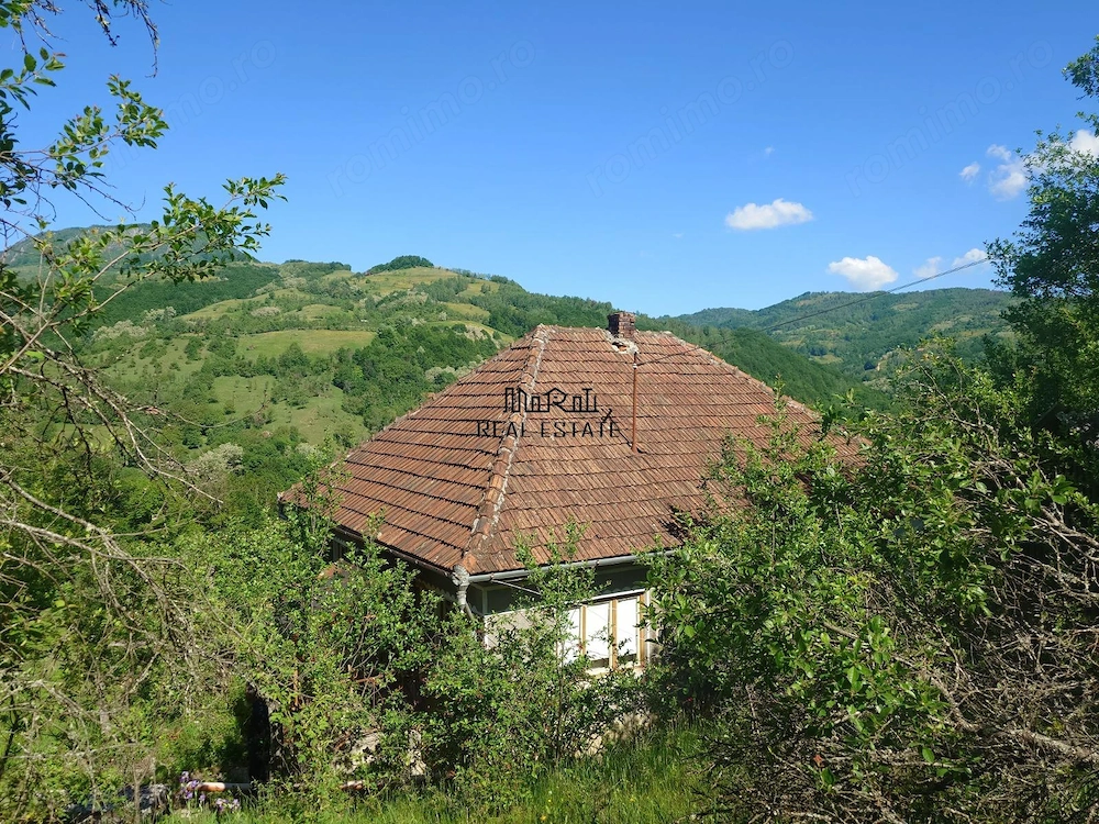Teren si cladiri Blajeni