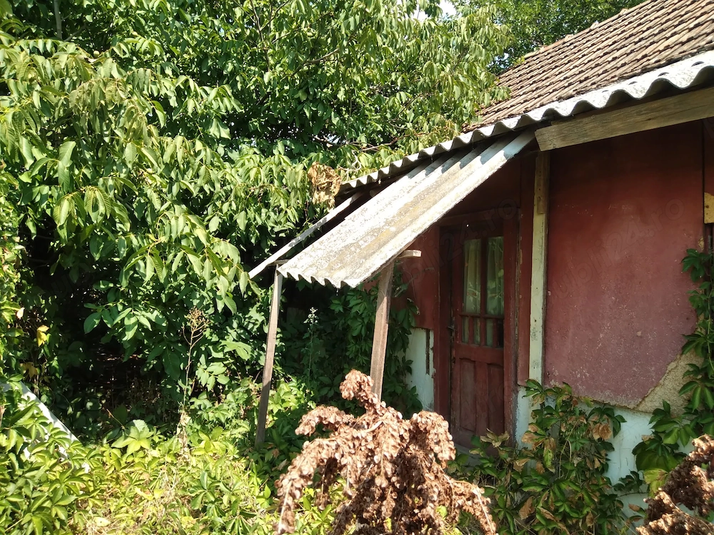 vanzare casa de vacanta Intorsura Dolj