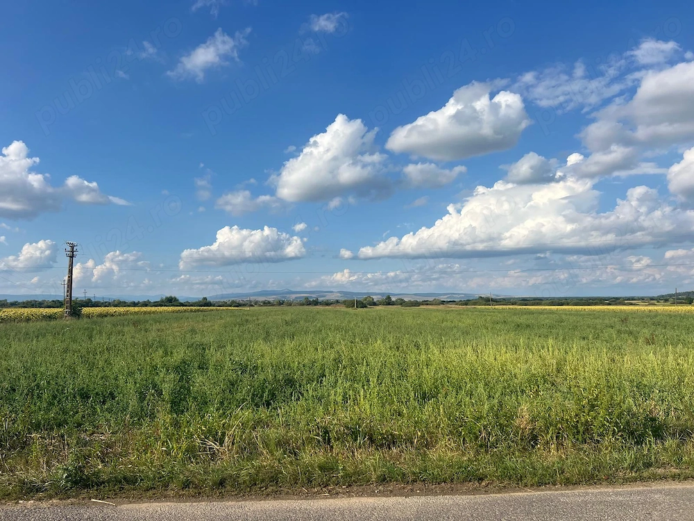 Teren extravilan 7,33 ha