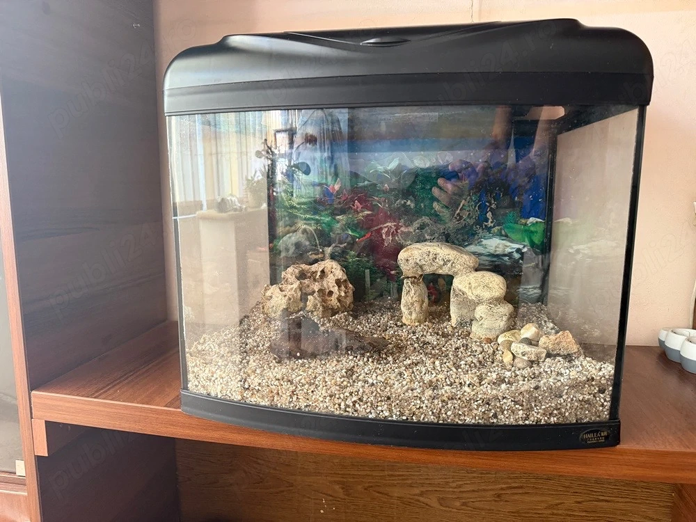 Vand acvariu Hailea 60L + echipamente si accesorii multiple
