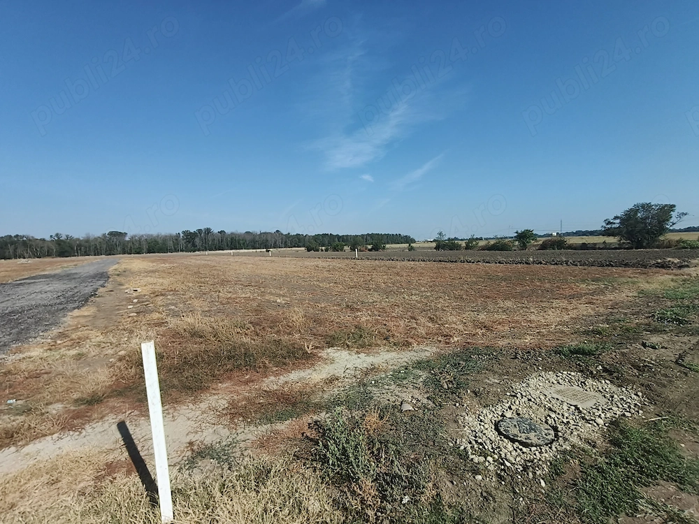 Teren Magurele, localitatea Pruni intravilan