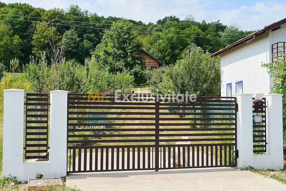 Doua CASE in aceeasi curte–BABANA, ARGEȘ | 1.485 MP TEREN