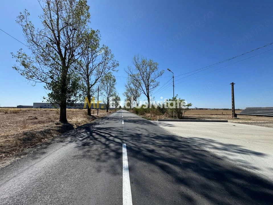 Teren extravilan de vânzare – Căteasca, Argeș | 27.201 mp | Deschidere 58,55 m