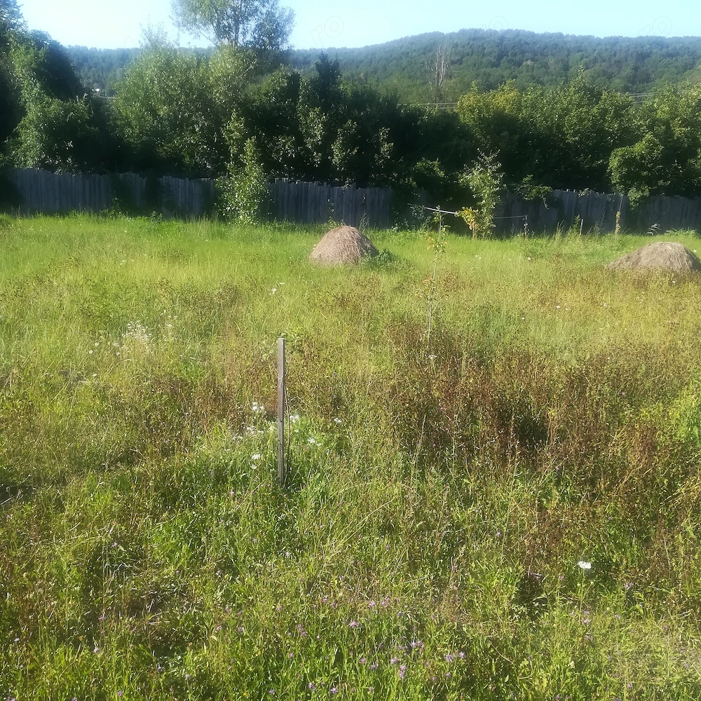 Vând teren 400 mp construibil îngrădit utilitati Valea Ursului, Bascov,  Pitești, Arges