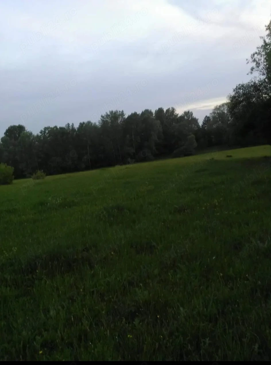 vand teren 