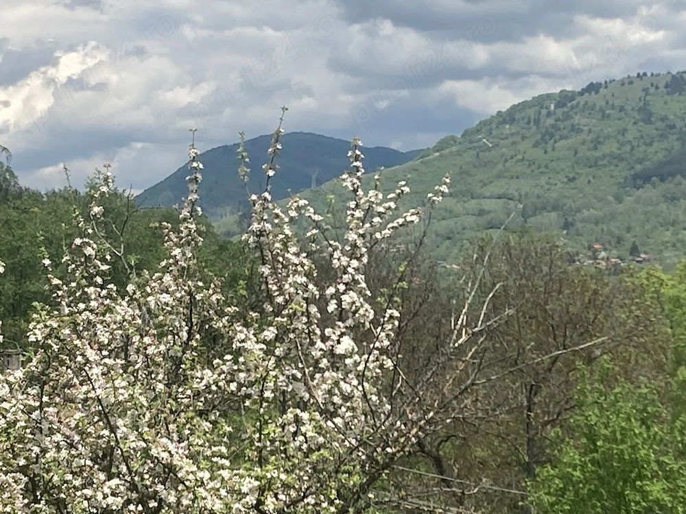 Teren intravilan de vânzare, panoramă unică și acces imediat la facilități