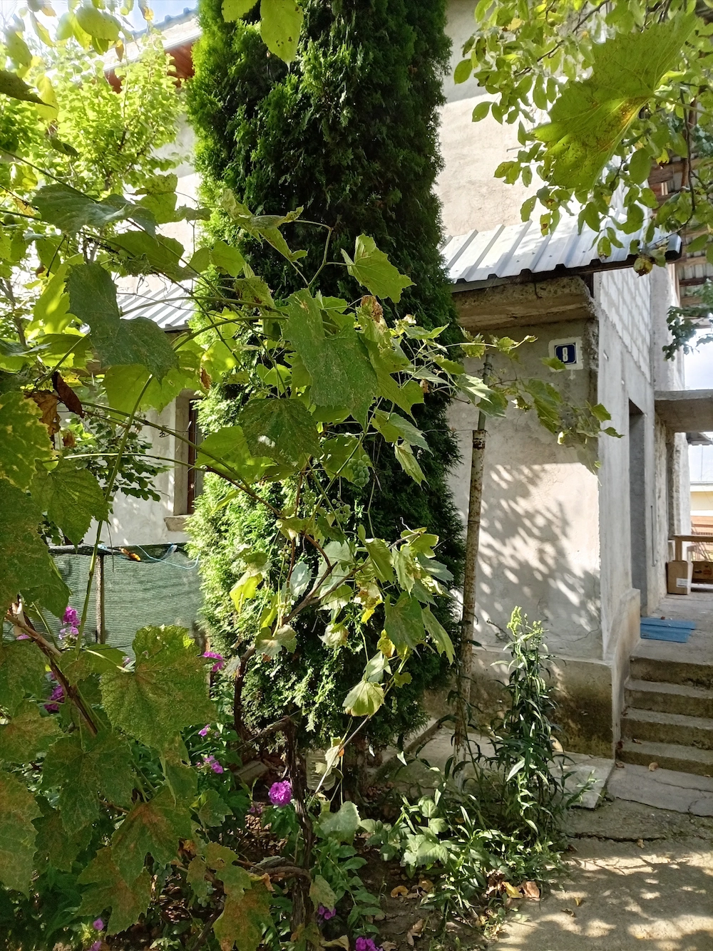 Vânzare casă 