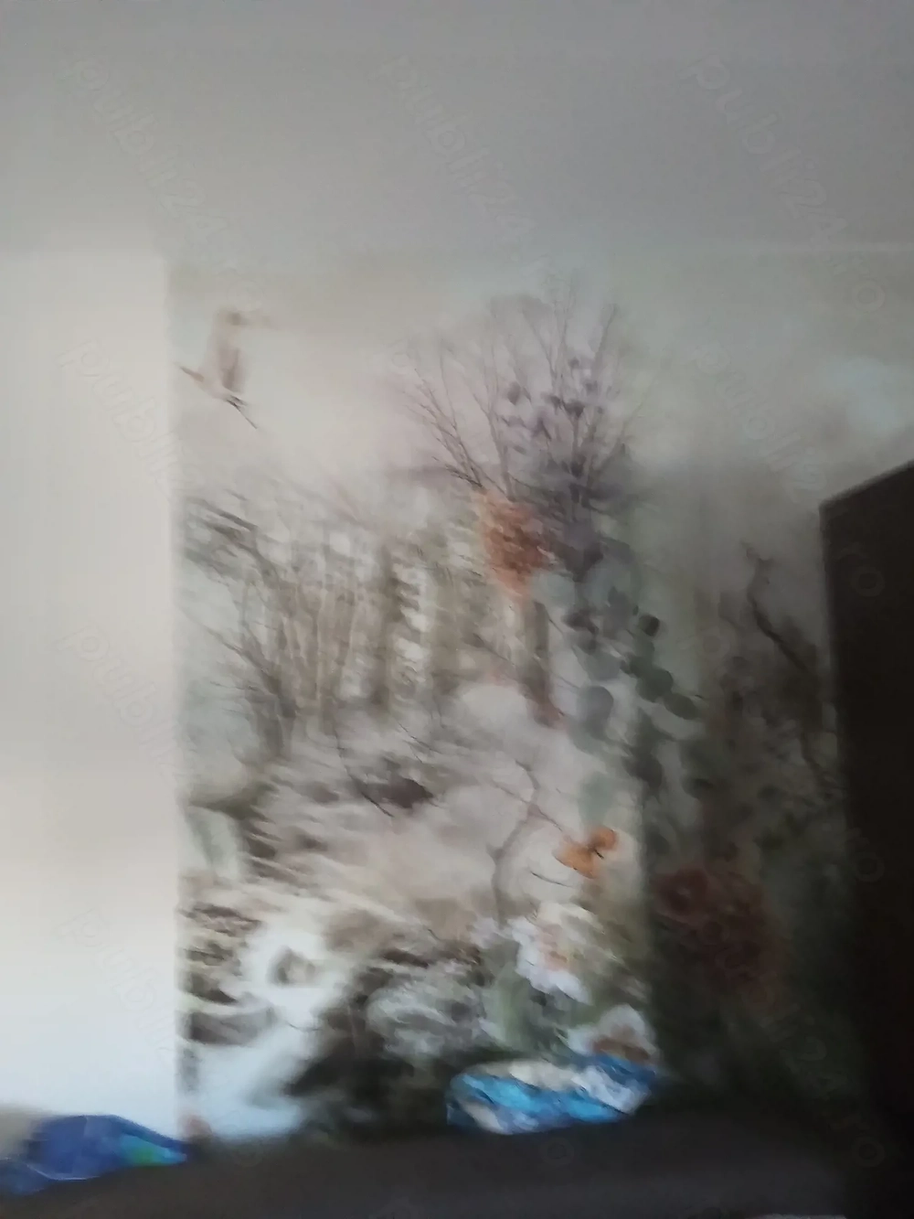 Vânzare,camera, camin
