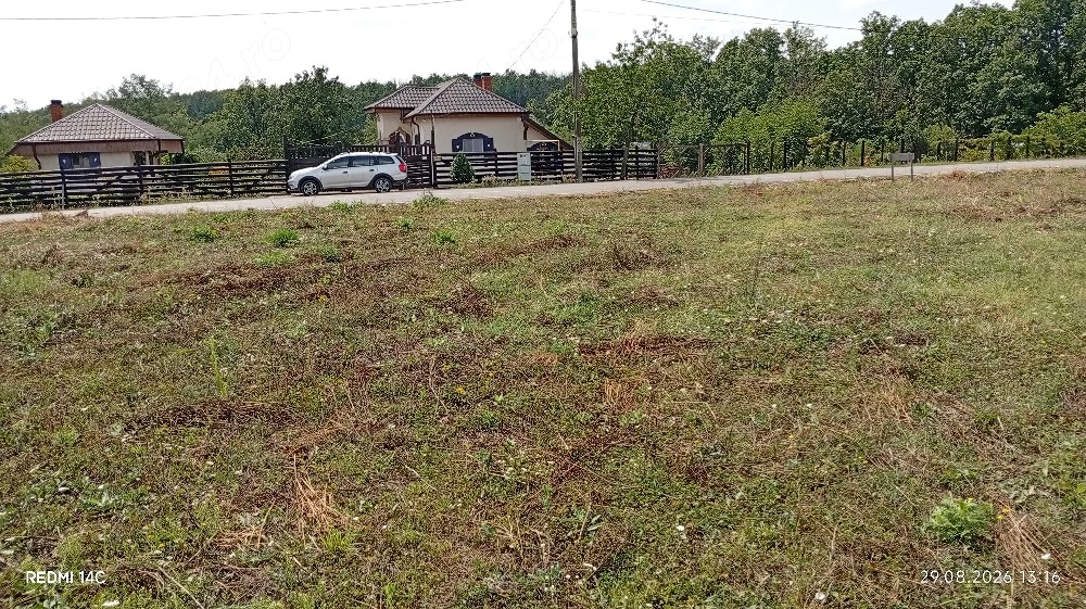 Terenuri de vanzare Mosoaia