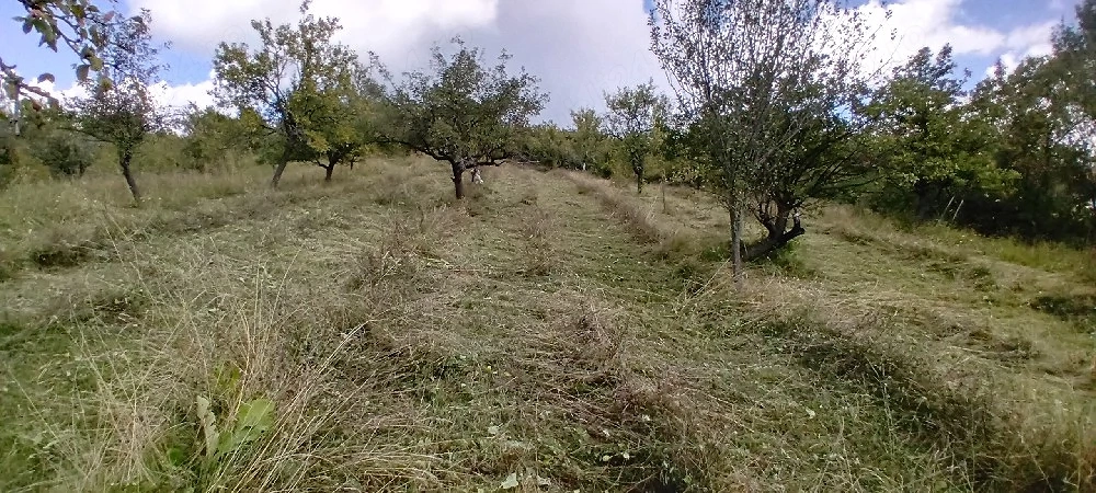 Urgent Ofertă  12000mp