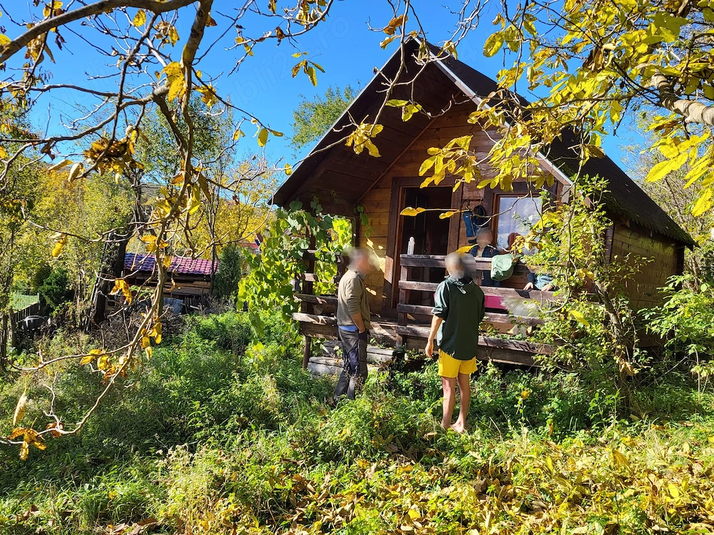Cabană de vânzare, Poienița Voinii, Hunedoara