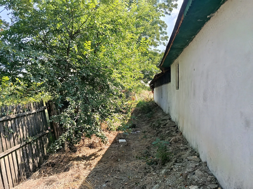Casa bătrânească și teren 