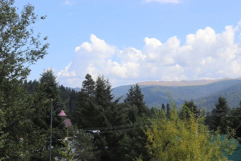 Teren Sinaia - Furnica