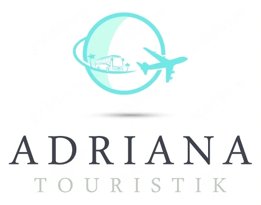 Angajam part-time sofer microbuz 19 locuri, categoria D, domiciliu in Topolovatu Mare (jud. Timis)