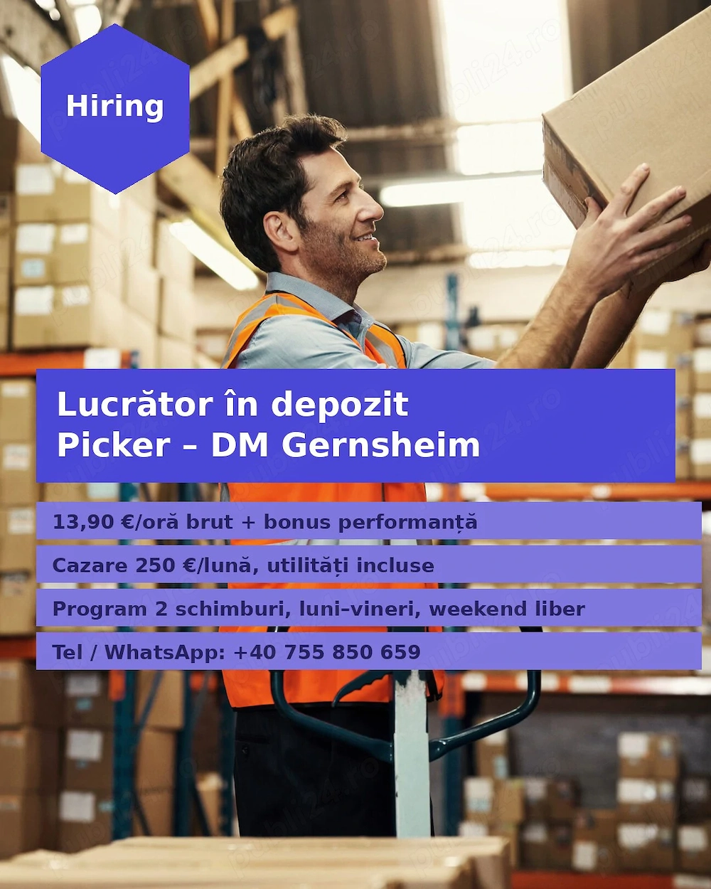  Lucrător în Depozit (Picker) in Gernsheim Germania 