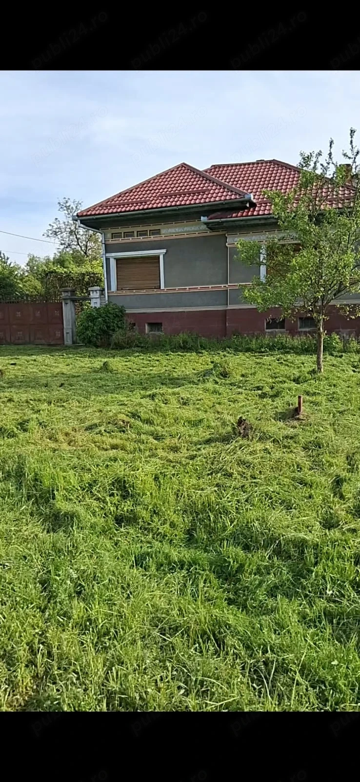 Casă de vânzare în Calbor cu 2650 mp teren 