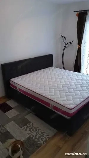 Apartament cu 1 camera de inchiriat in zona Buziasului cu centrala proprie
