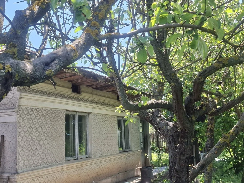Vând casă cu 5 camere si beci, suprafață teren de 1000 mp,40 km de București, apa, curent,canalizare