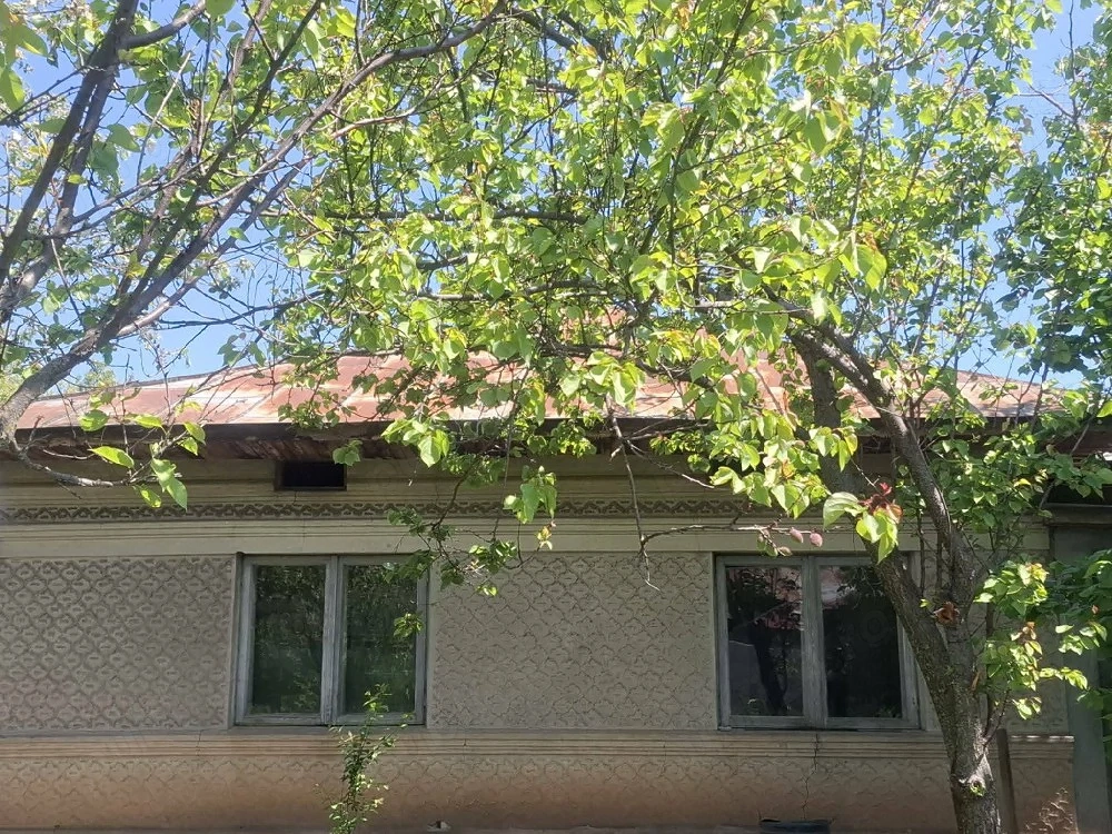 Vând casă cu 5 camere si beci, suprafață teren de 1000 mp,40 km de București, apa, curent,canalizare