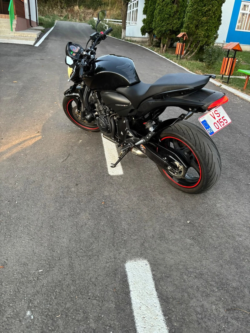 Honda Hornet 