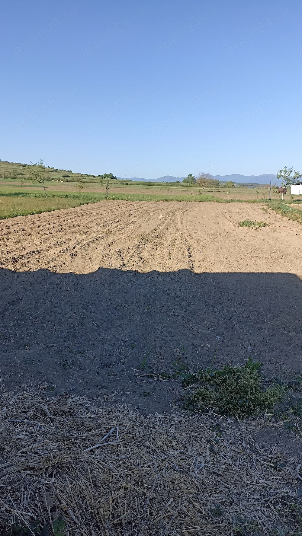 Teren cu fundatie, pivnita si autorizatie de construire   Petrani, Pocola