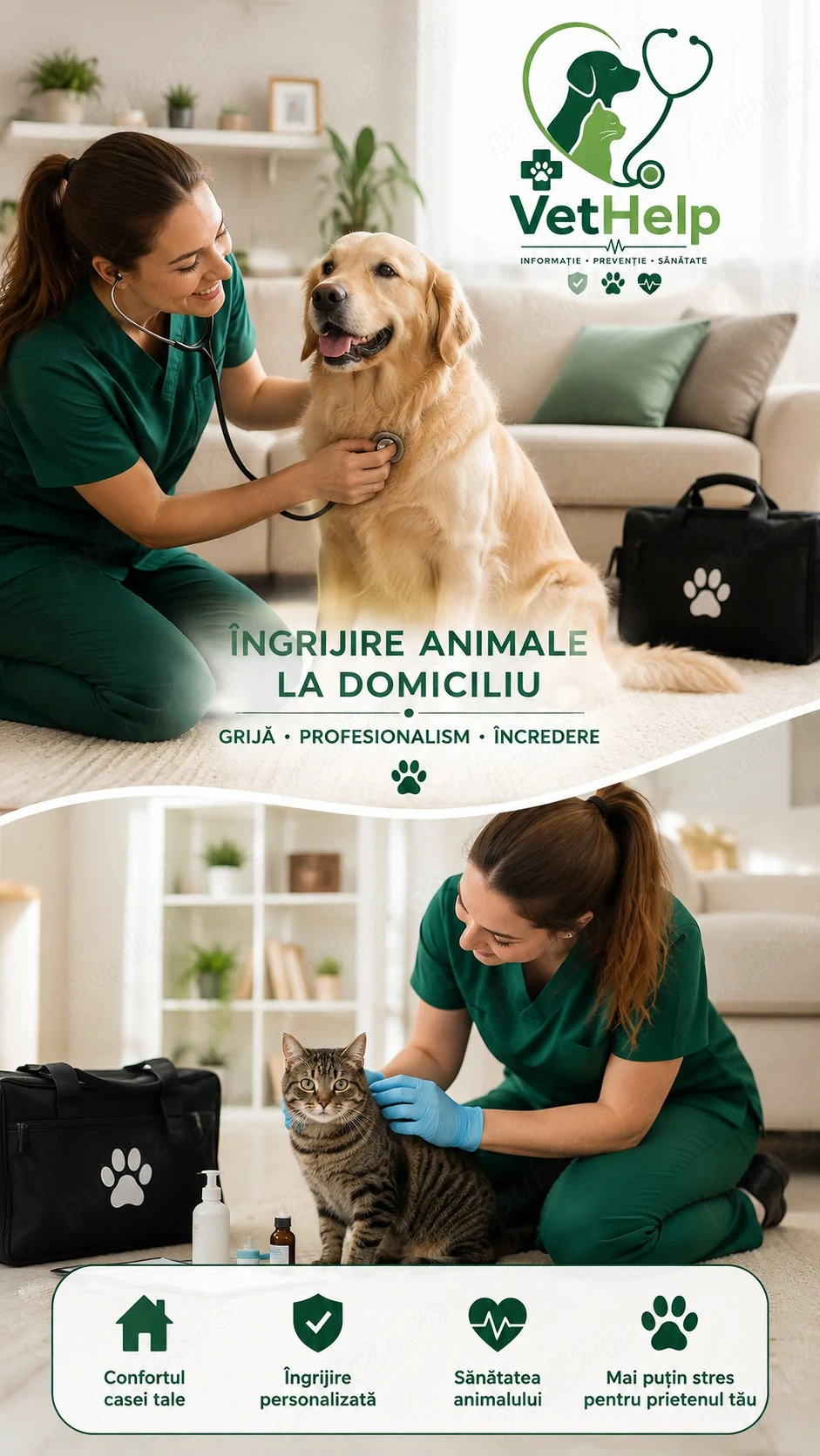 Asistență îngrijire animale la domiciliu