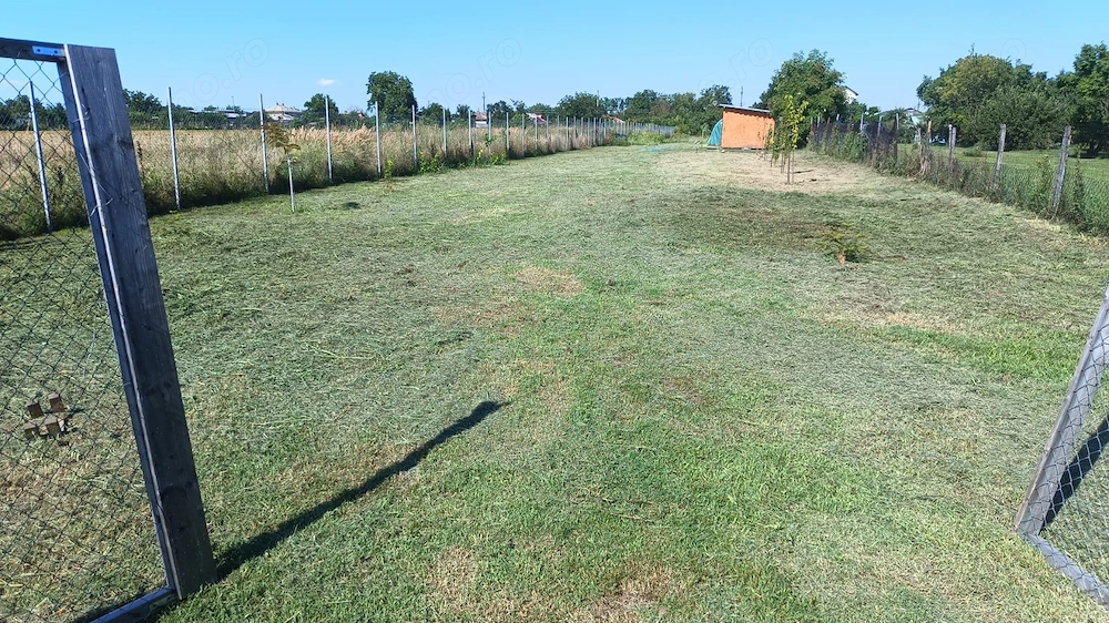 Teren intravilan 2.200 mp în Poenari (Ulmi, Giurgiu)   împrejmuit, cu puț, livadă și solar
